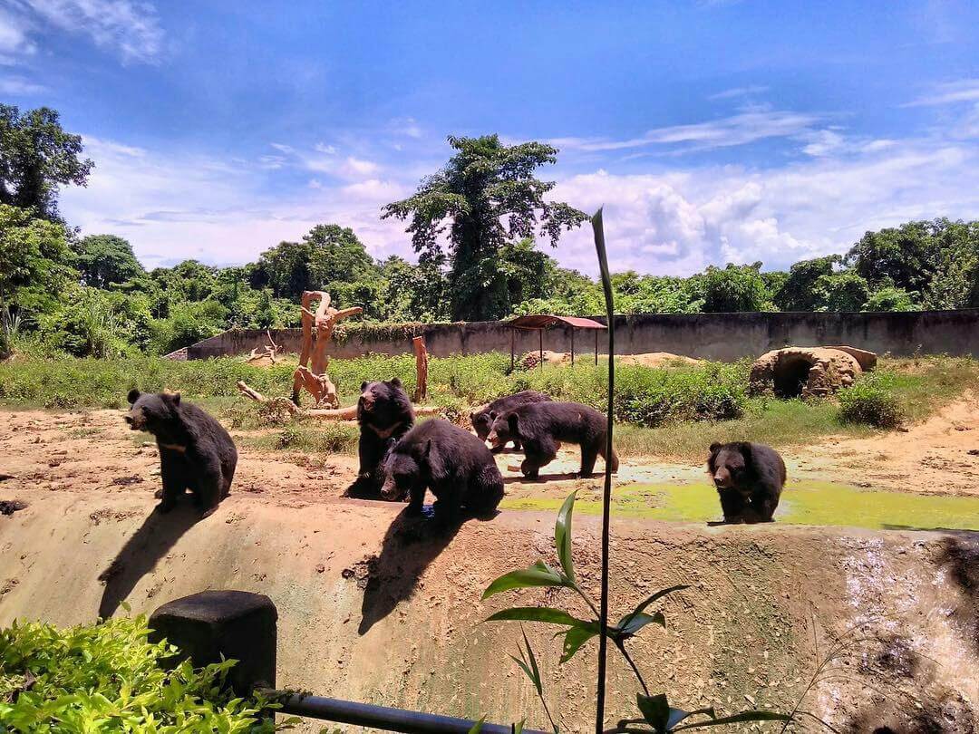 Zoological Park Dimapur Nagaland