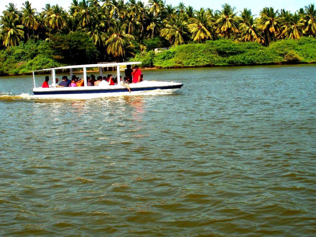 Boat Ride in Chunnambar Boathouse Pondicherry