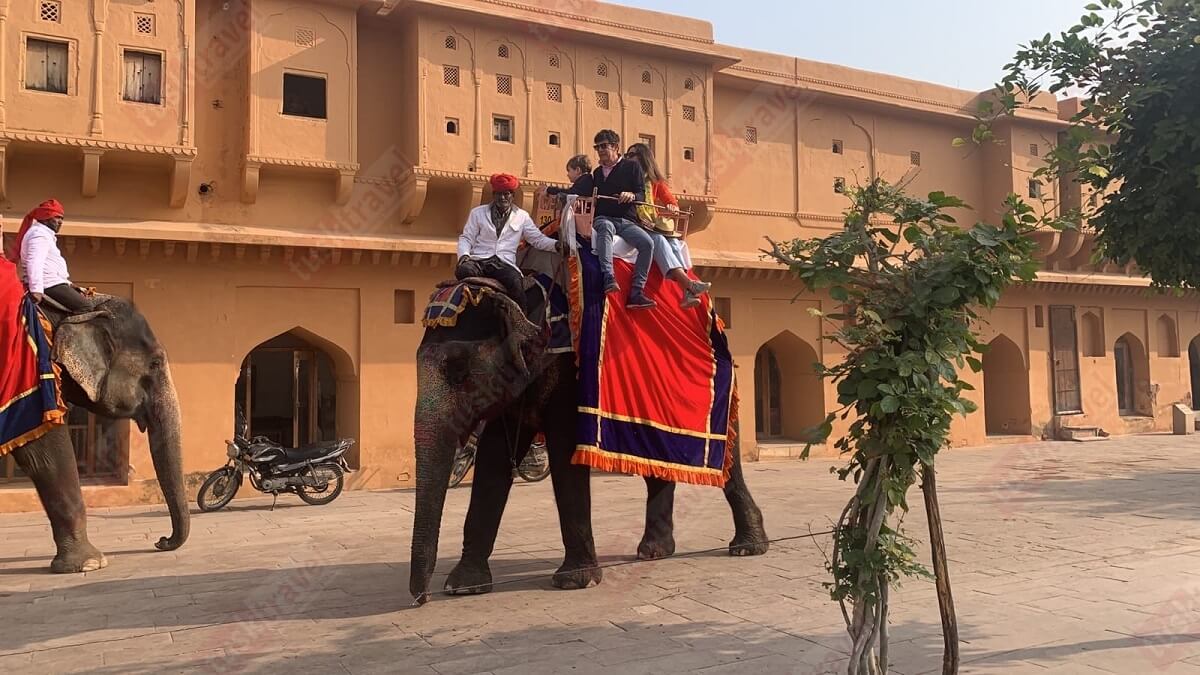 Elephant Ride Amer Fort Jaipur Rajasthan