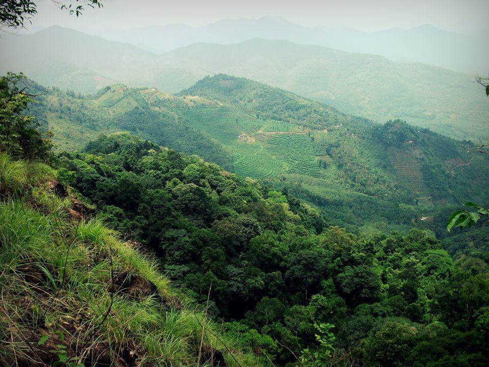 Malom Wildlife Sanctuary Kasaragod Kerala