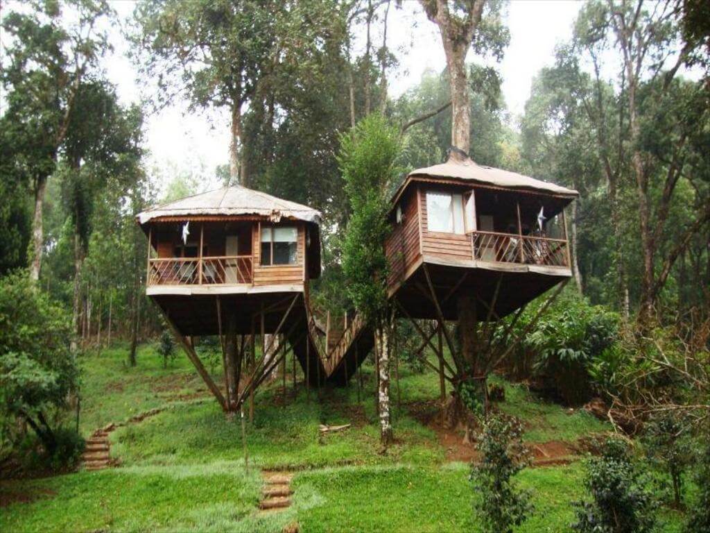 Nature Zone Jungle Resort, Munnar Kerala
