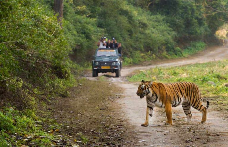 Satkosia Tiger Reserve Odisha