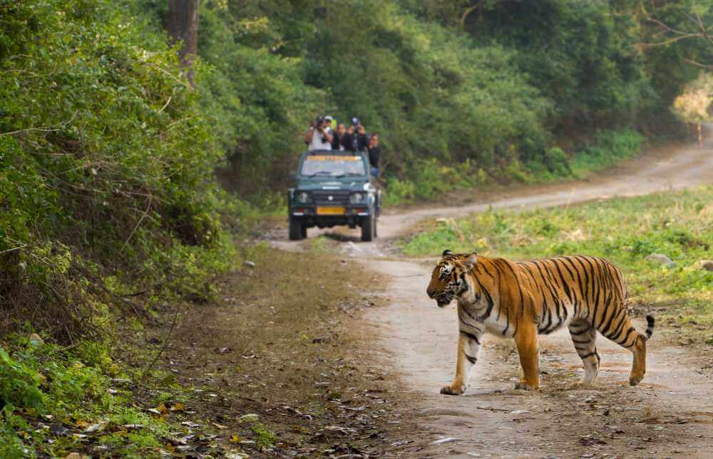 Satkosia Tiger Reserve Odisha