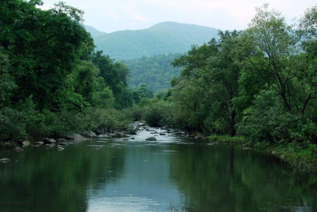 Similipal National Park Odisha