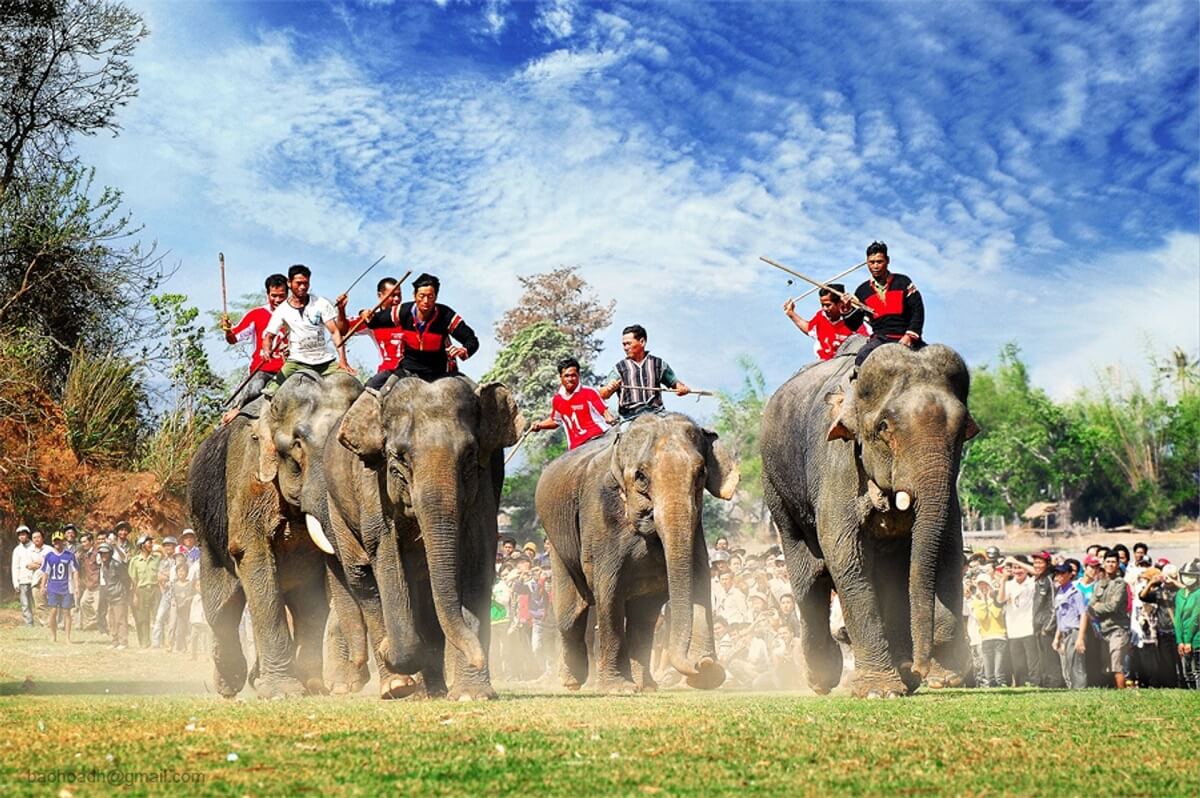 Elephant Racing Festival Vietnam