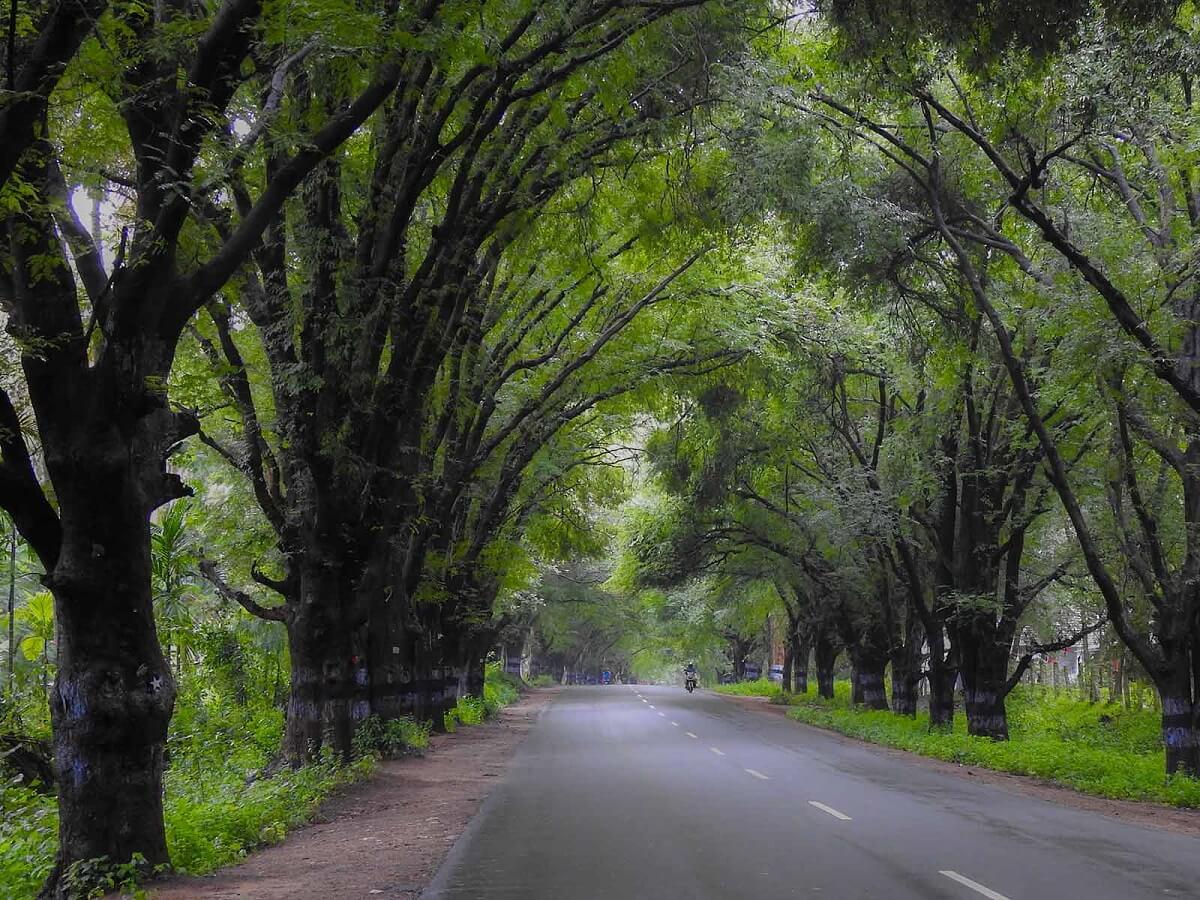 Enjoy a Day in the Woods Topslip Anamalai