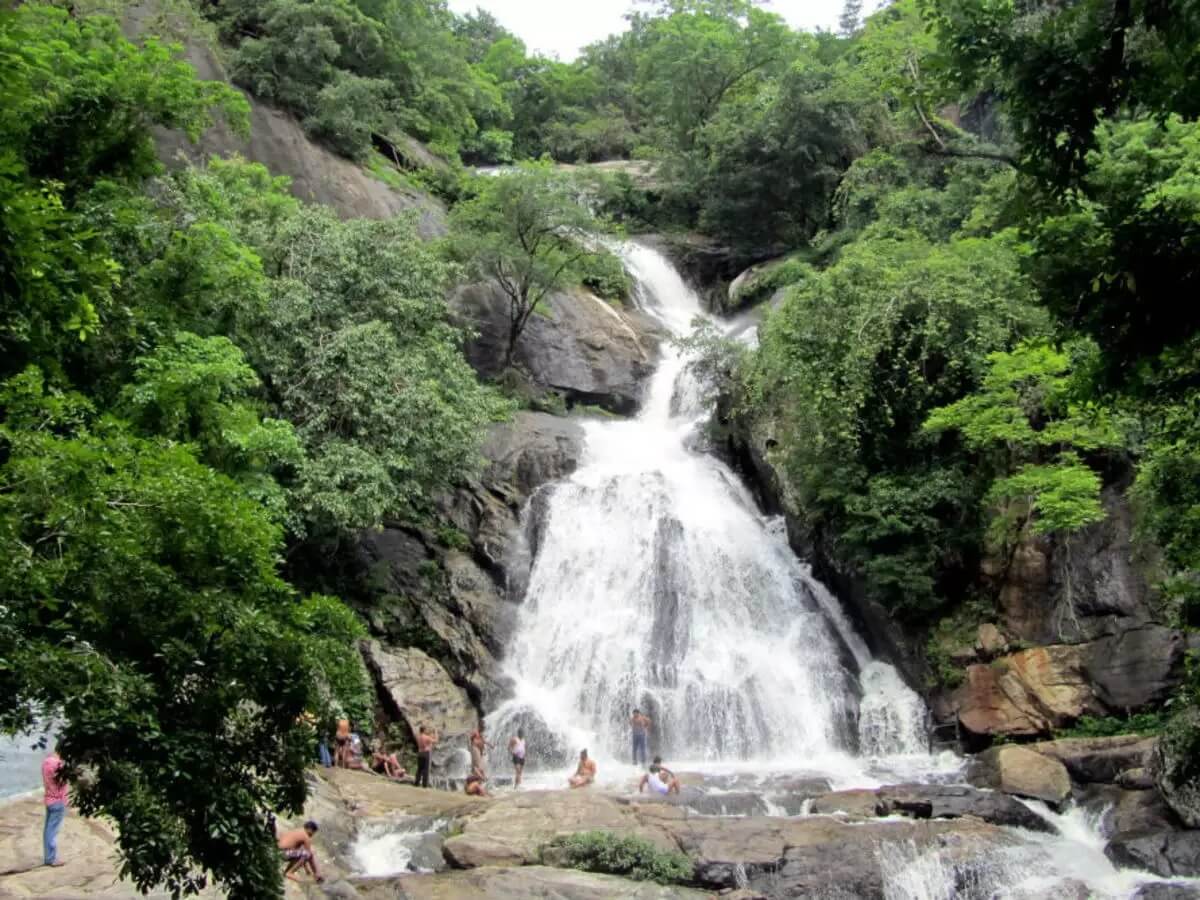 Monkey Falls Pollachi Tamil Nadu