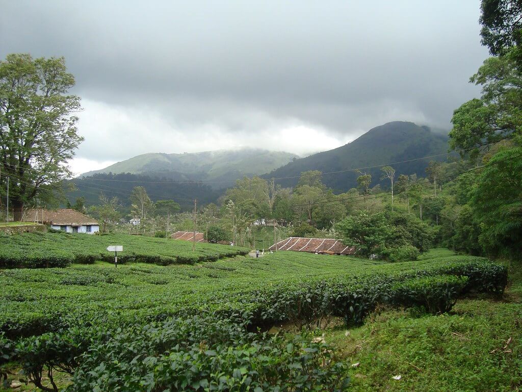 Nelliyampathy Hills Palakkad Kerala