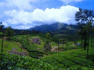 Nelliyampathy Tourist Places Palakkad Kerala