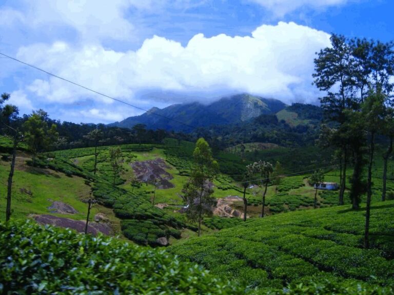 Nelliyampathy Tourist Places Palakkad Kerala