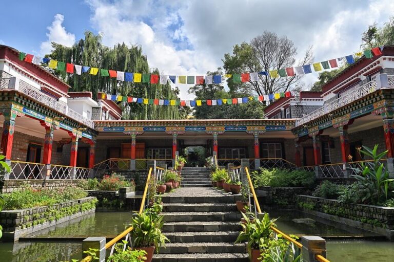Norbulinka Cafe, Dharamshala Himachal