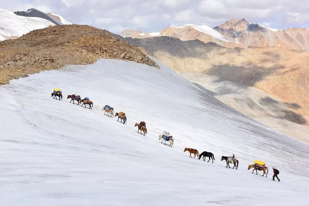 Nubra Valley Trek from Phyang to Hunder Ladakh