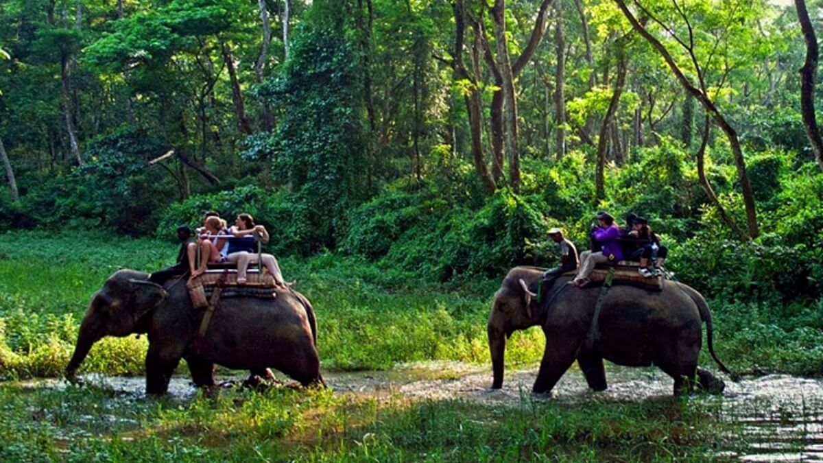 Parsa National Park Nepal