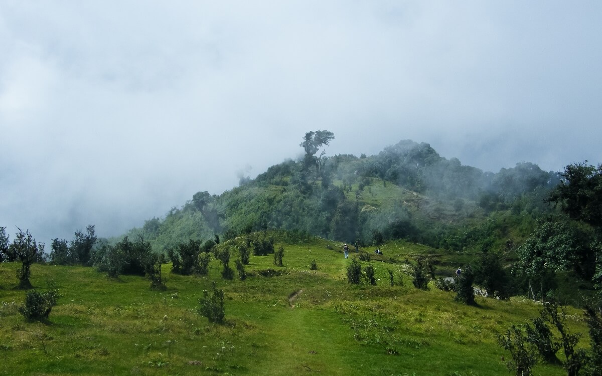 Singalila National Park Sikkim