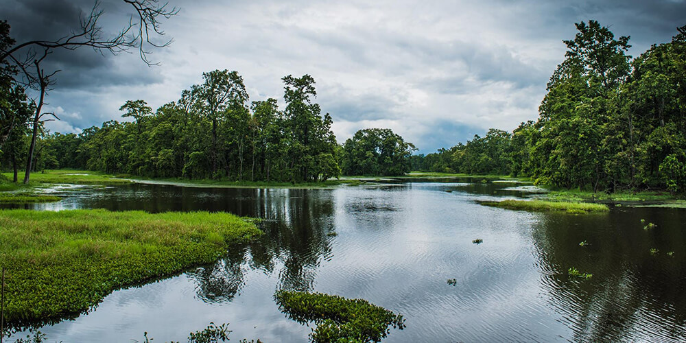 Bishazari Tal Chitwan Nepal