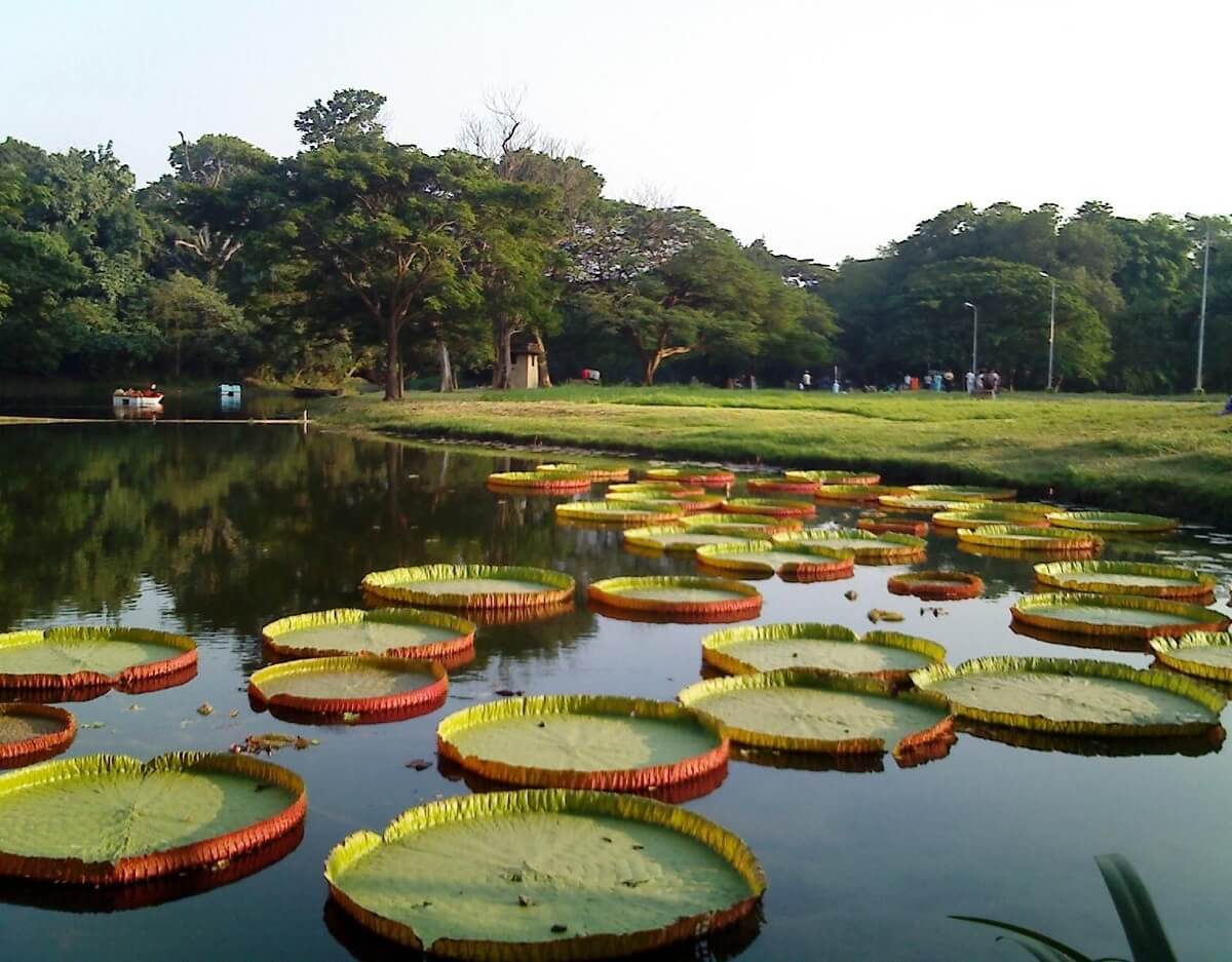 Botanical Gardens In Kolkata