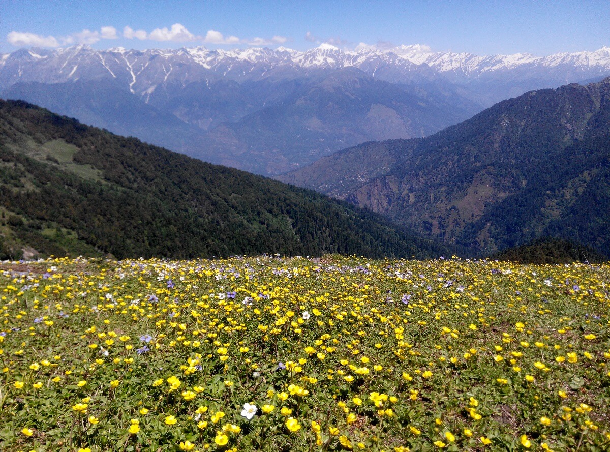 Chandrakhani Pass Manali Himachal