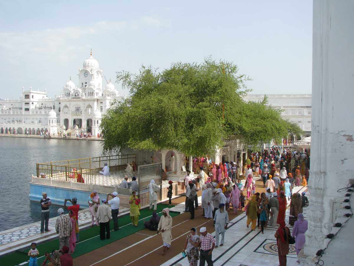 Dukh Bhanjani Ber Tree Amritsar