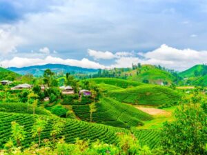 Getting Around North East India A Guide to Transportation