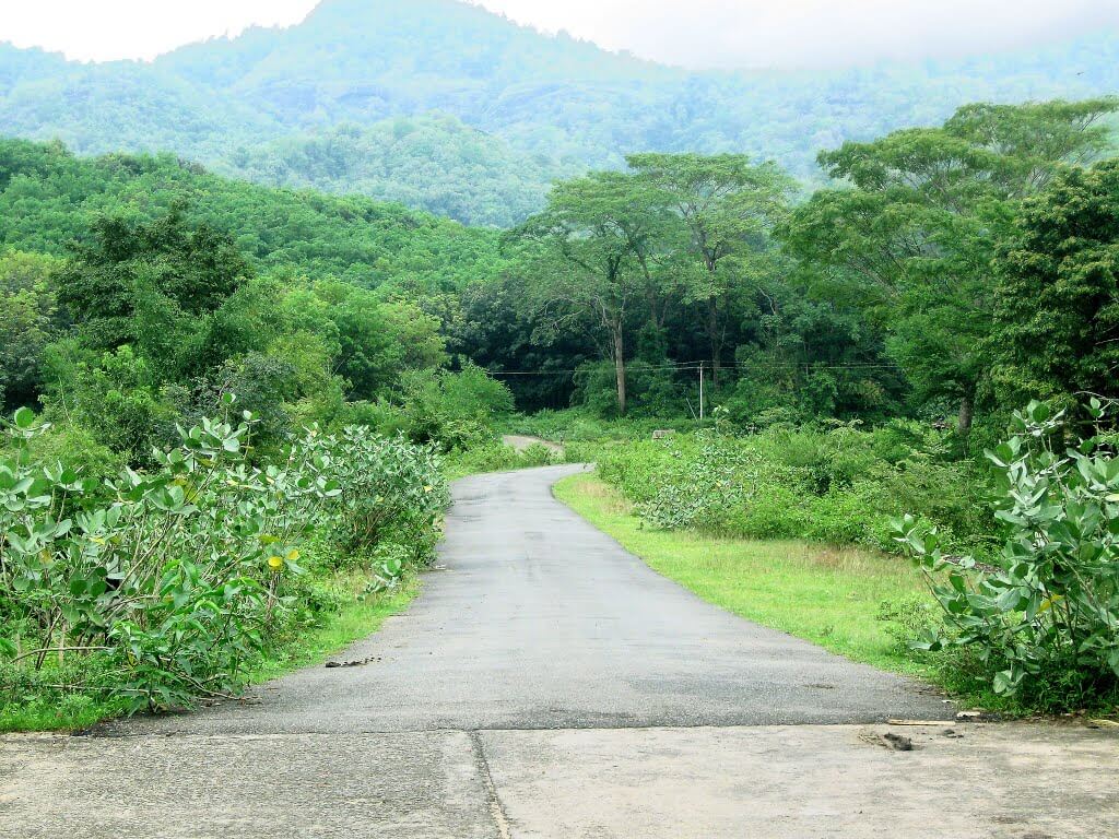 Kanyakumari Wildlife Sanctuary Tamil Nadu
