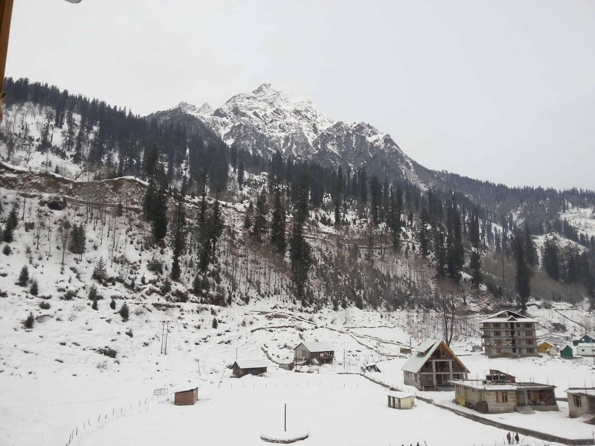 Kothi Manali Himachal