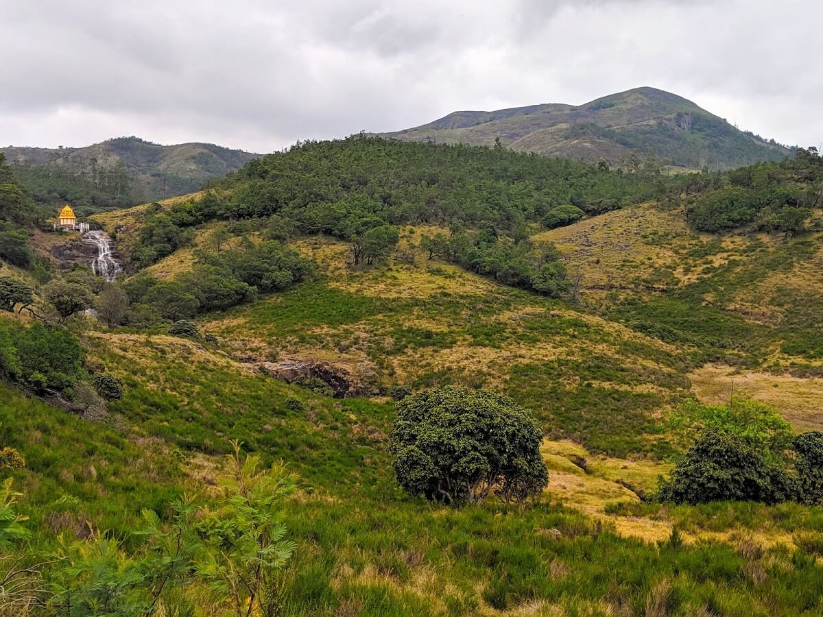 Mukurthi National Park Tamil Nadu