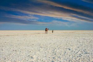 Rann of Kutch Gujarat