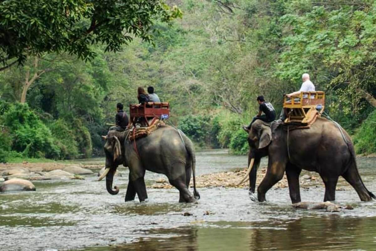 Wildlife Safari Kerala