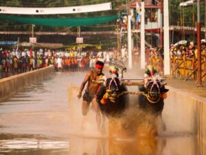 10 Most Famous Festivals Celebrated in Karnataka
