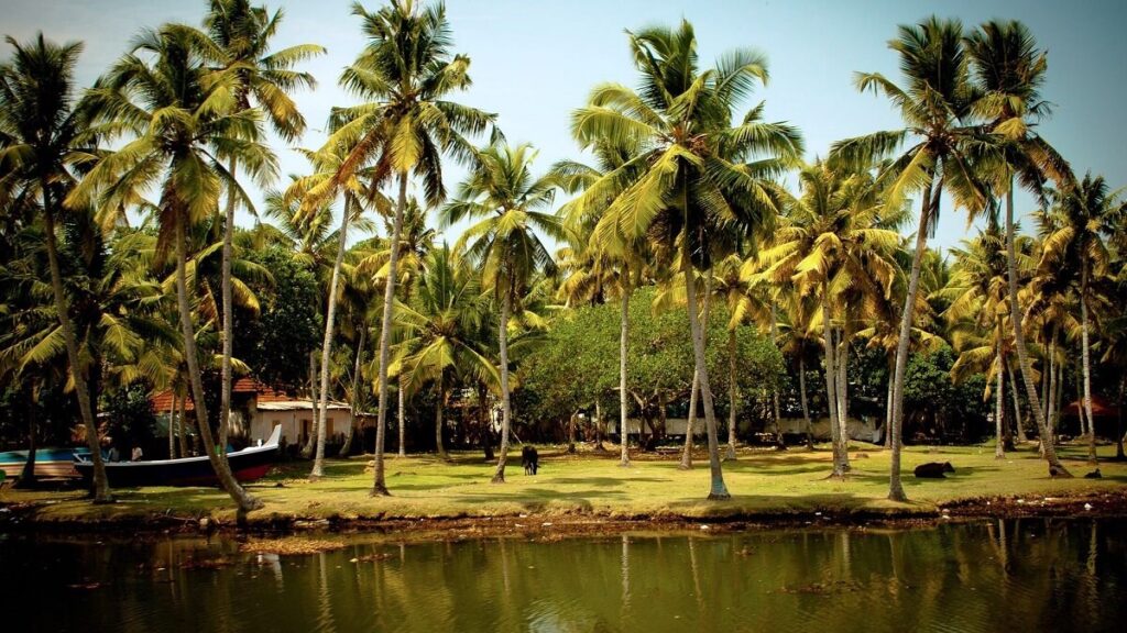 Kerala Land Of Coconuts