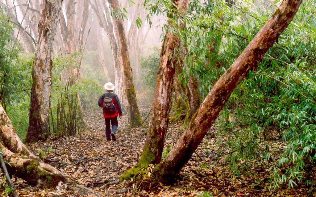 Neora Valley National Park Kalimpong West Bengal