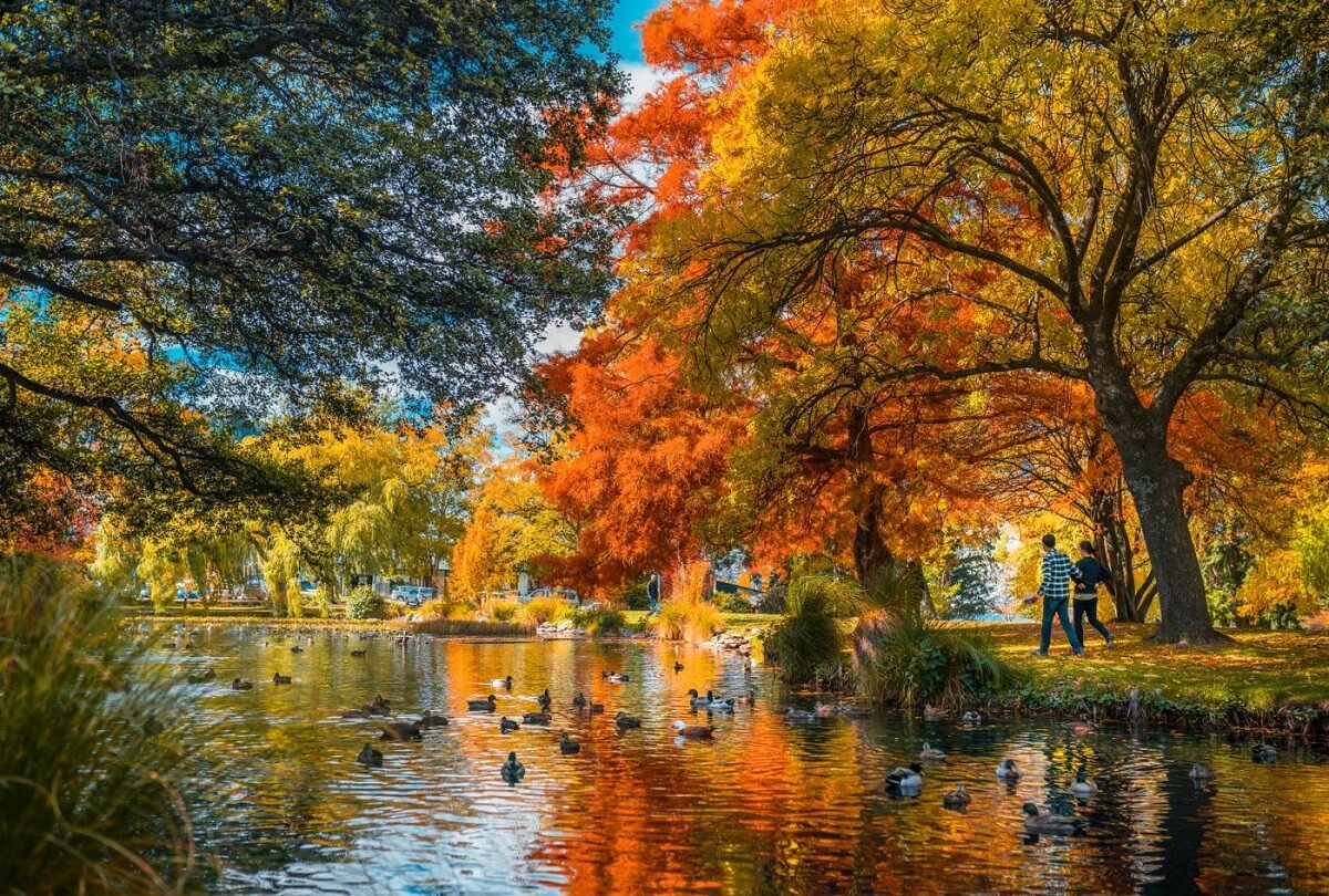 New Zealand Autumn Foliage and Outdoor Activities