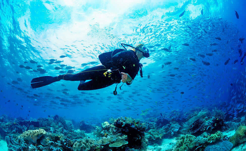Scuba Diving Chennai Tamil Nadu