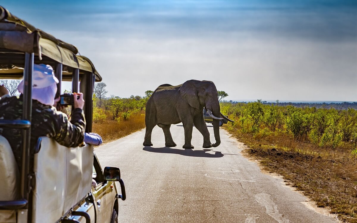 South Africa The Best Time for Safari
