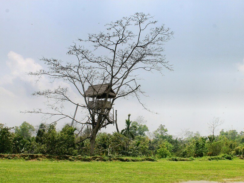 Tree Top Viewpoint Mawlynnong Meghalaya