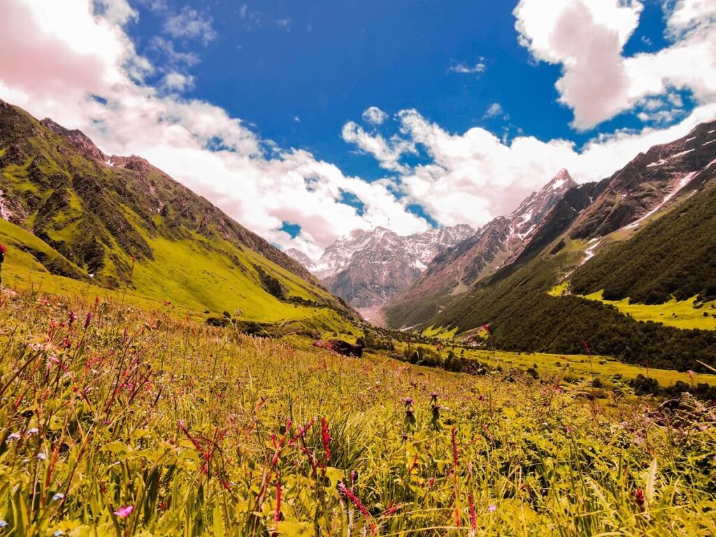 Valley of Flowers Uttarakhand