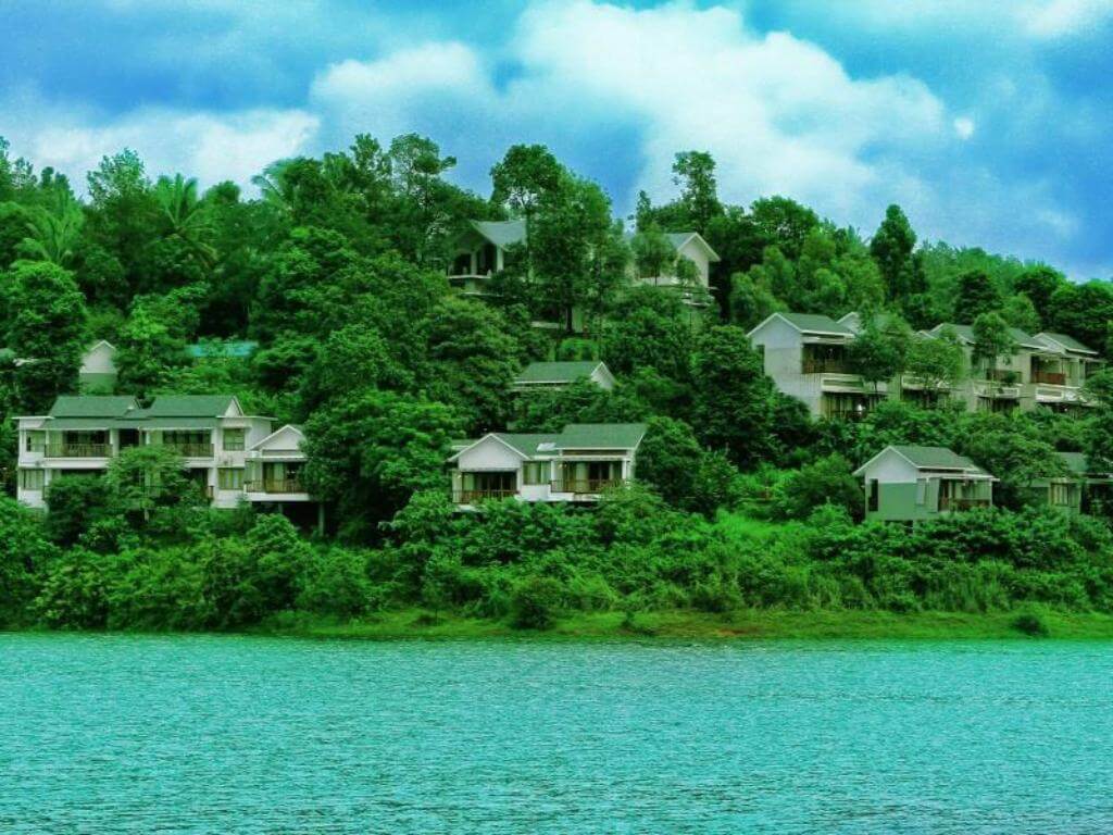 Wayanad Silver Wood Kerala