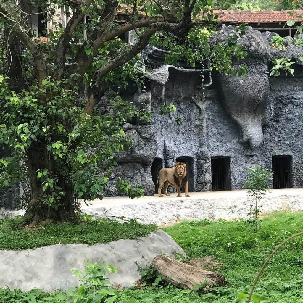 Alipore Zoological Gardens Country's Oldest Zoo Kolkata West Bengal