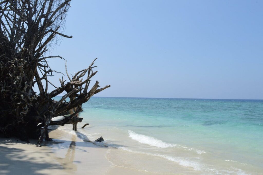 Button Island National Park Andaman