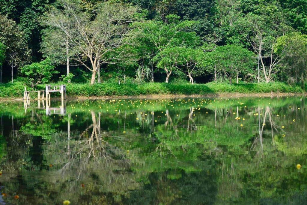 Cuc Phuong National Park Vietnam