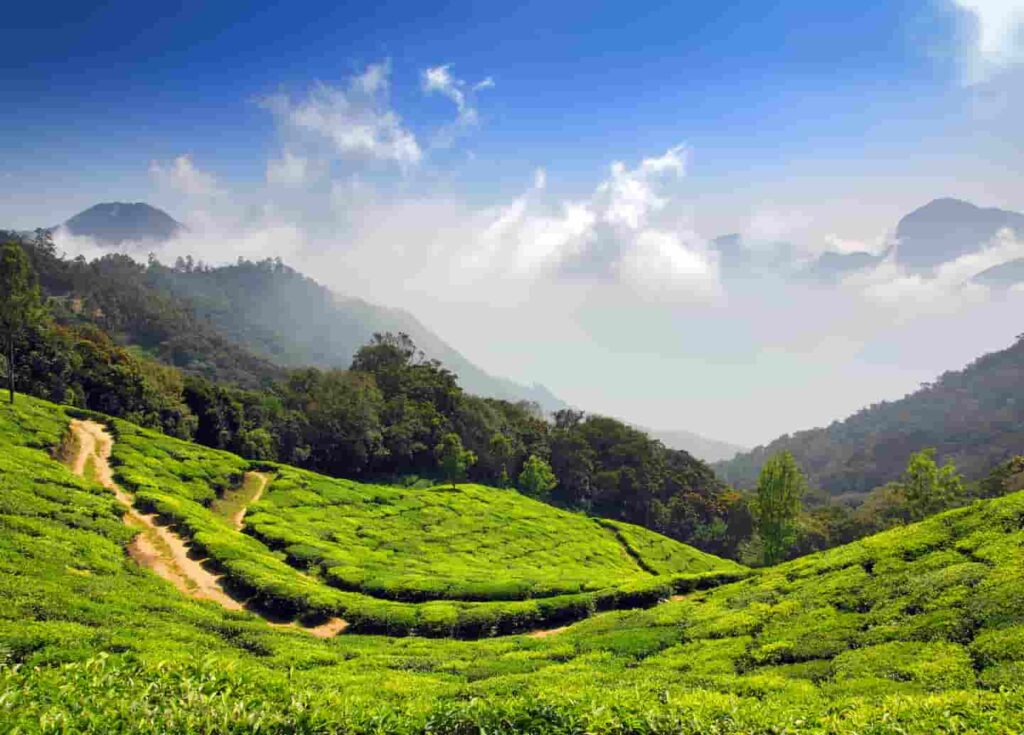 Devikulam: A Heavenly Guide to an Enchanting Hill Station