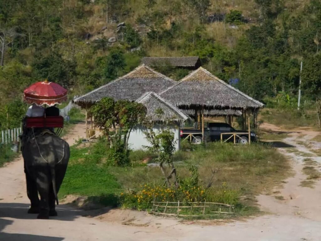 Elephant Junction, Thekkady, Kerala