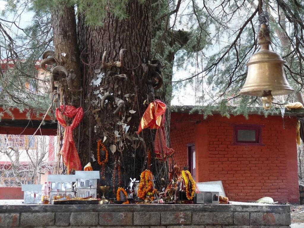 Ghatotkach Tree Temple Manali Himachal
