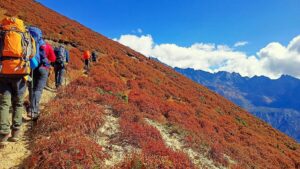 Goechala Trek Sikkim
