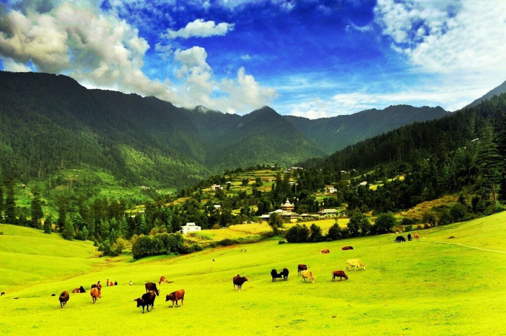 Great Himalayan National Park Kullu Valley Himachal