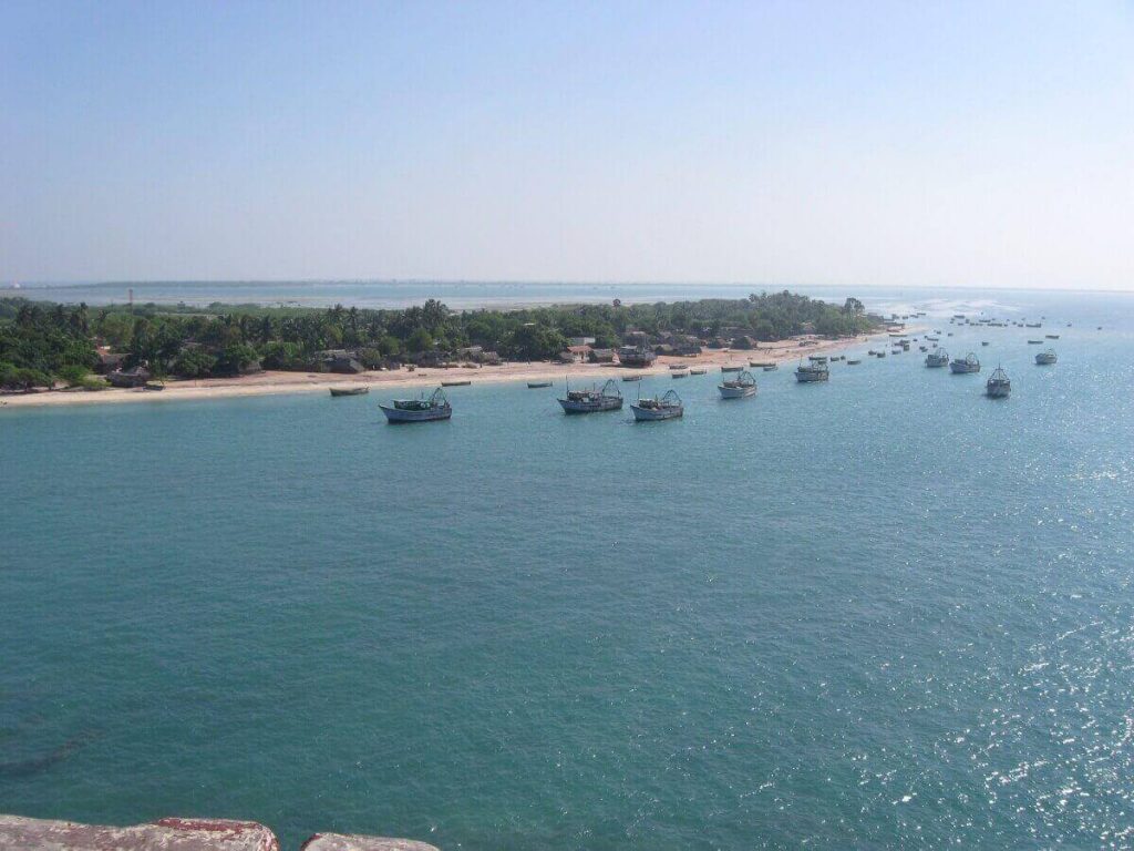 Gulf of Mannar Marine National Park Tamil Nadu