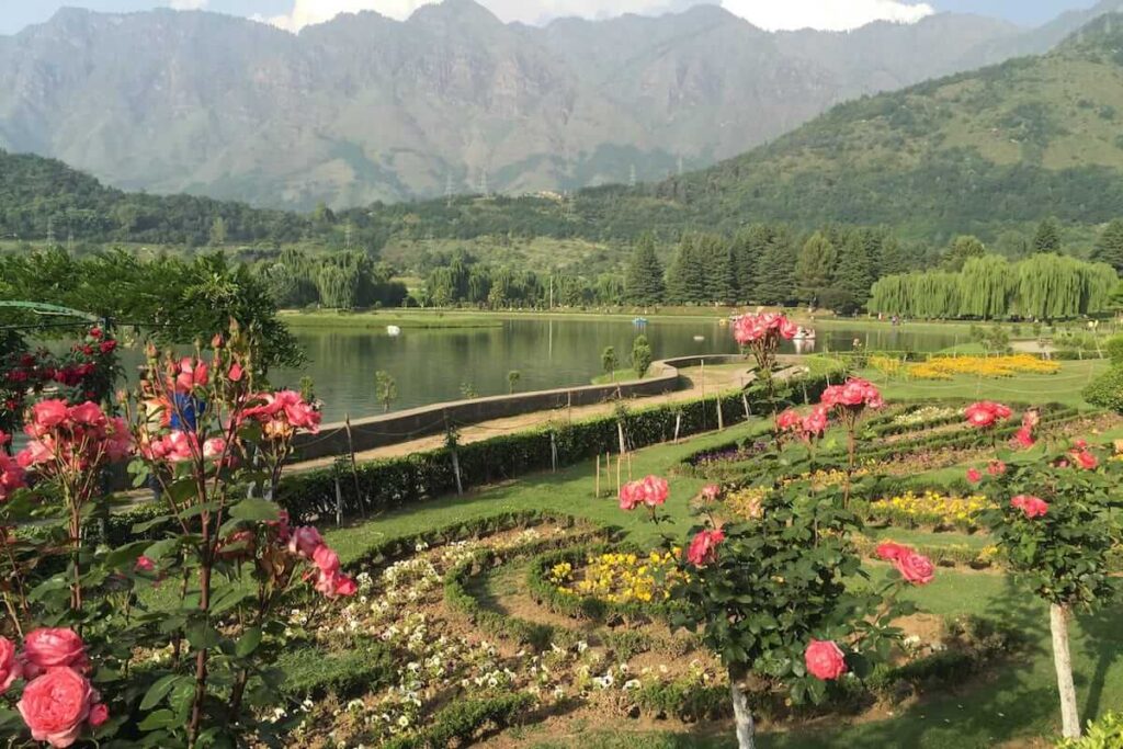 Jawaharlal Nehru Memorial Botanical Garden, Srinagar Jammu Kashmir