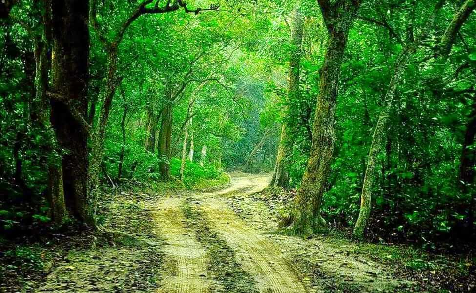 Kilbury Bird Sanctuary Uttarakhand
