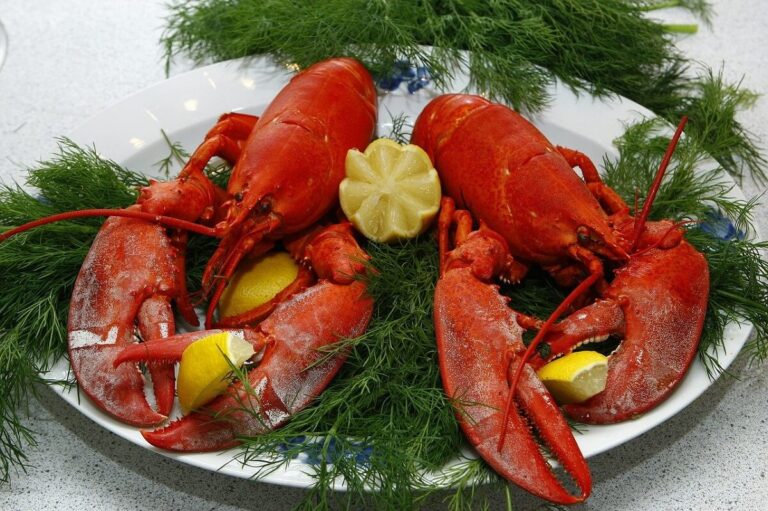 Maldivian Live Lobster