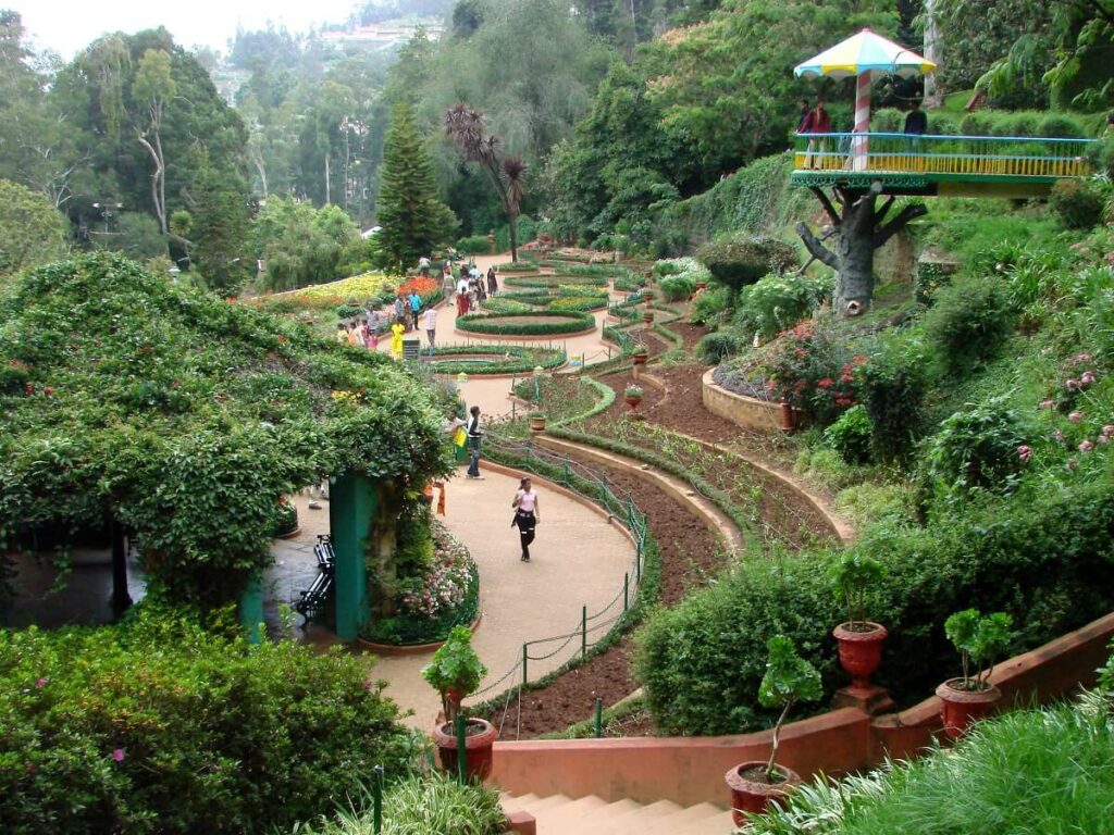 Ooty Botanical Garden, Tamil Nadu